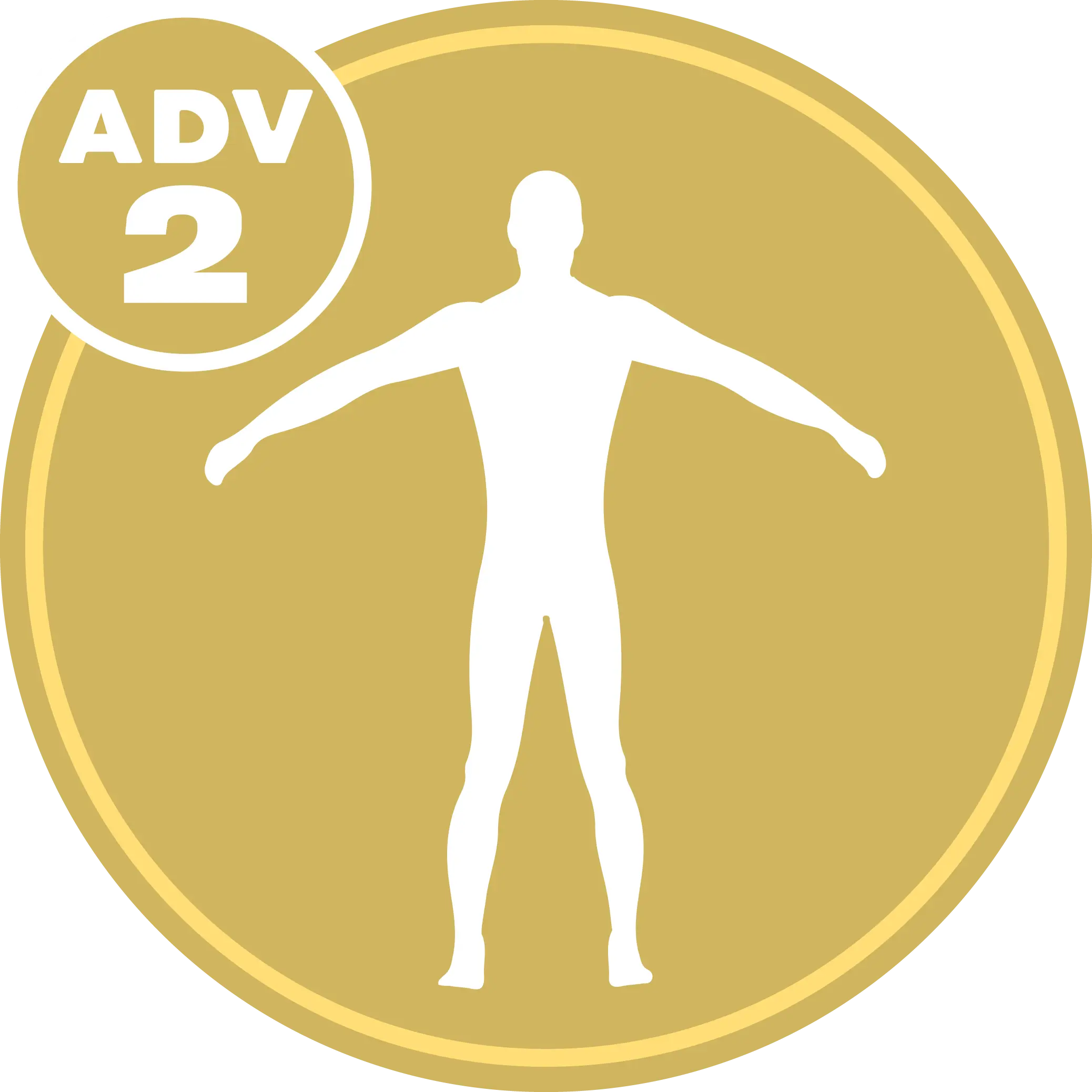 Advanced Full Body 2